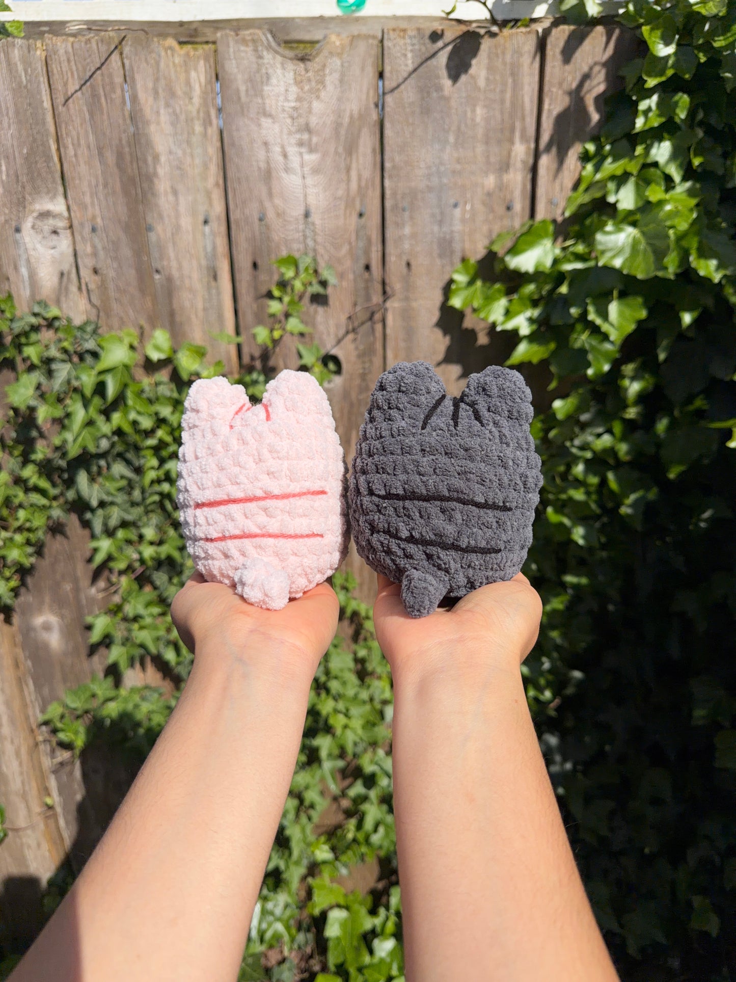 Baby Pusheen