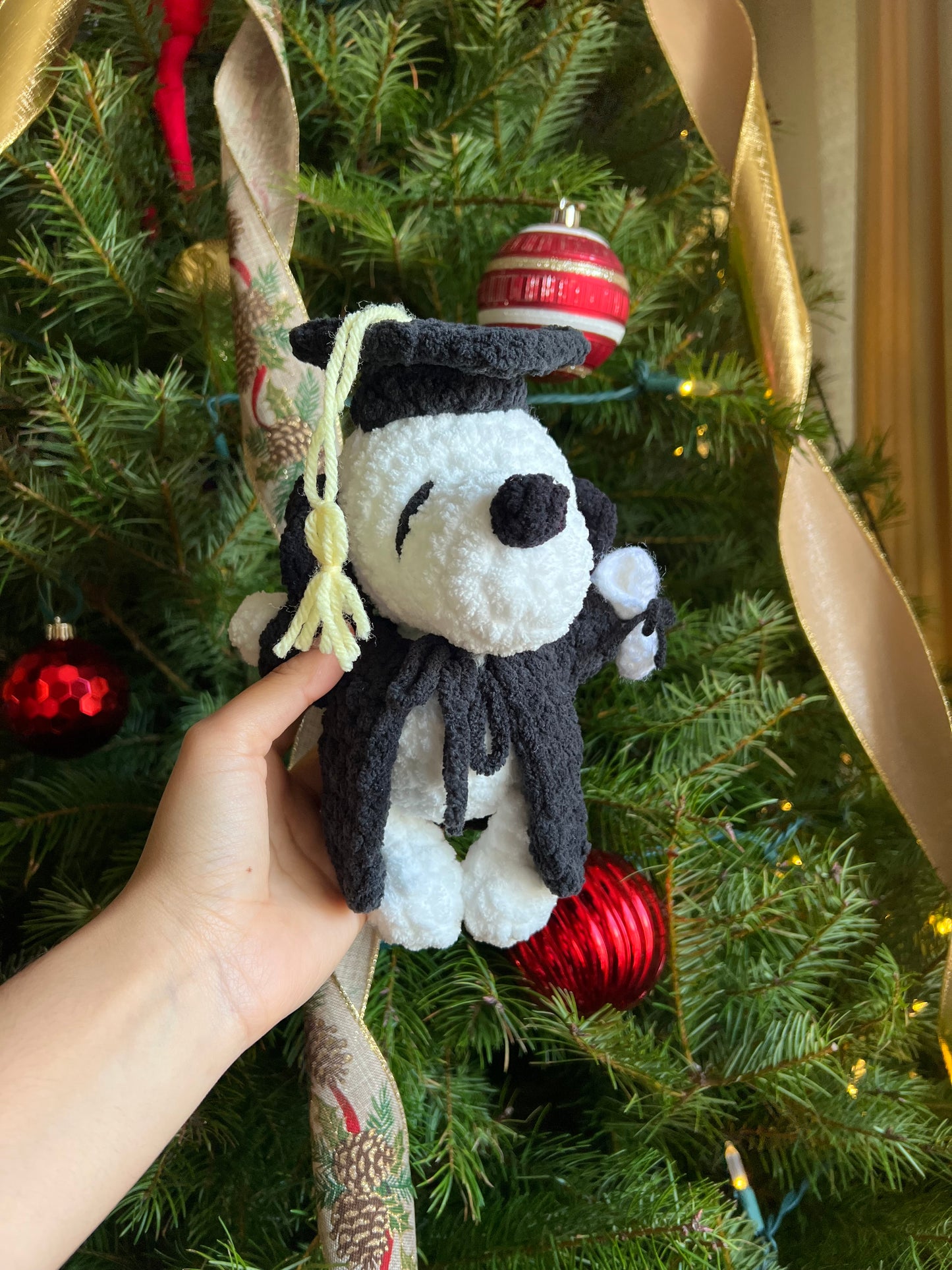Snoopy the Grad