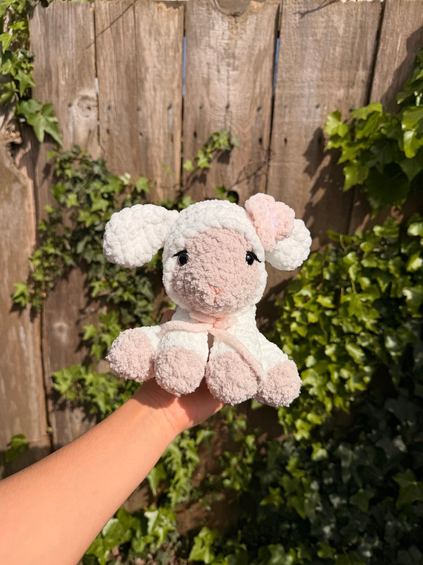 Cuddly Baby Sheep