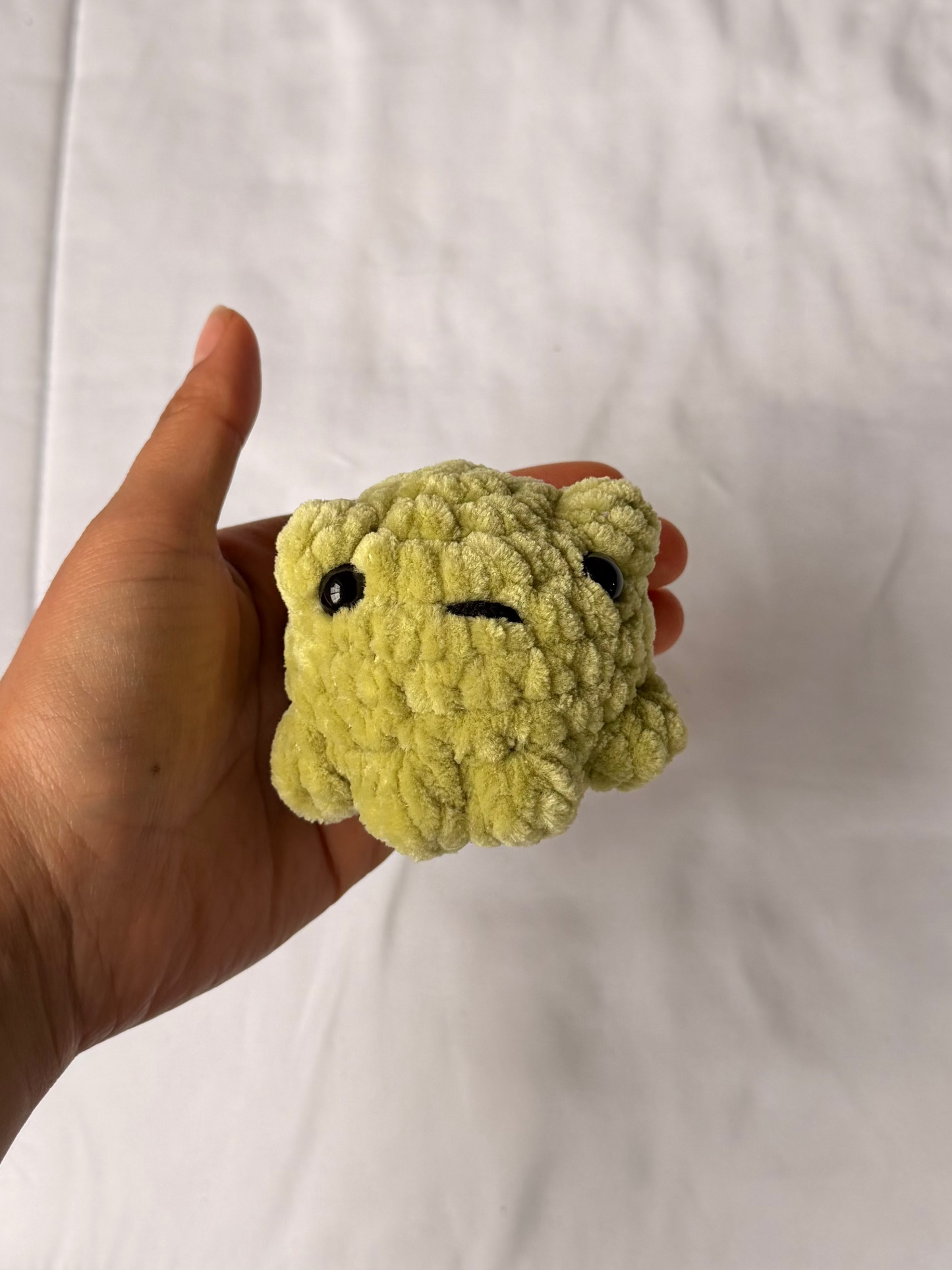Pocket Frogs
