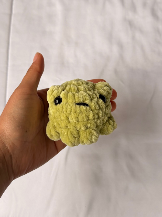 Pocket Frogs